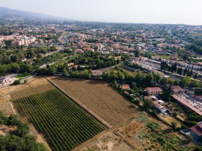 Etna Urban Winery - Catania